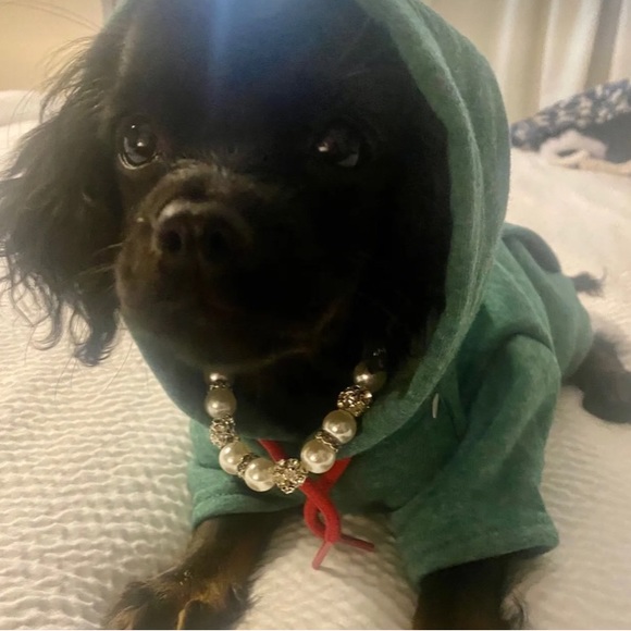 HP🎉NWT DOG NECKLACE - Picture 5 of 10